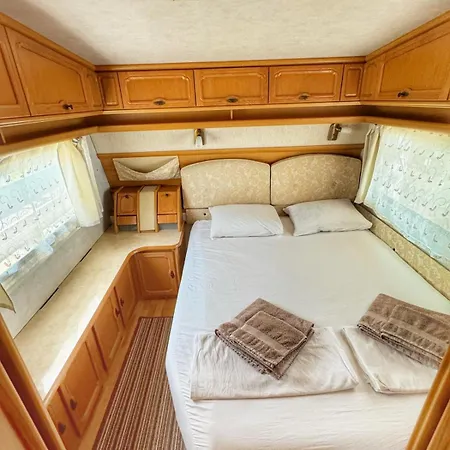 и Kаравани дрийм гардения