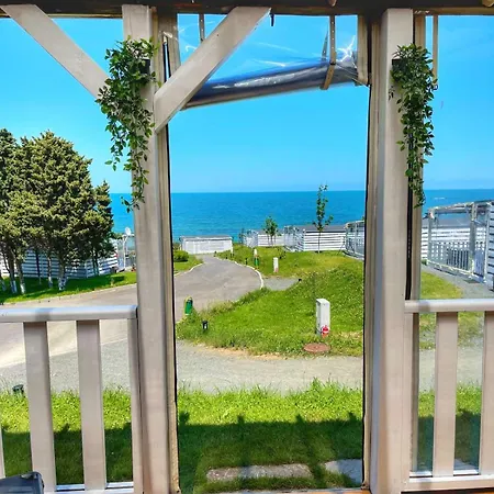 и Kаравани дрийм гардения *