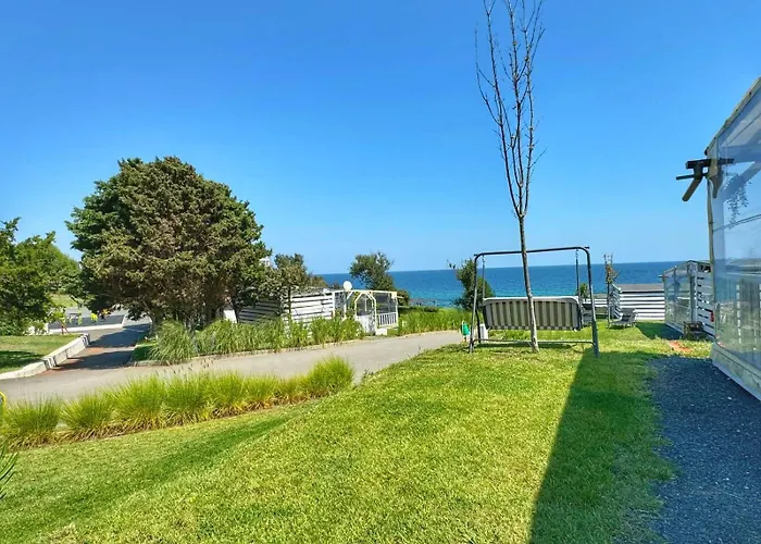 и Kаравани дрийм гардения *