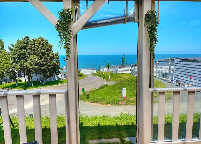 и Kаравани дрийм гардения *